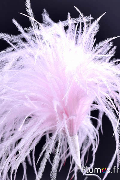 Plumet autruche avec anneau - ht 18-20 cm - rose tendre
